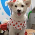 AF1QipM2lhGGAh DgjW84JLlMOnGFQSTdkGFemmly5Ytw408 h884 k no