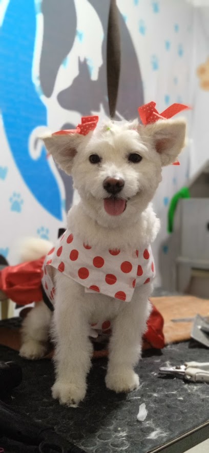 AF1QipM2lhGGAh DgjW84JLlMOnGFQSTdkGFemmly5Ytw408 h884 k no