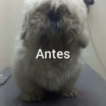 AF1QipM34xJe6YbUQeUmVPbG08WOu0AHsH0fpKcx7 kXw408 h781 k no