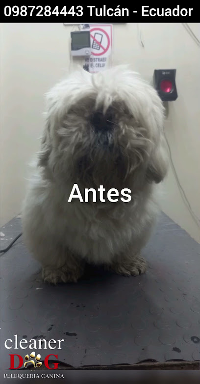 AF1QipM34xJe6YbUQeUmVPbG08WOu0AHsH0fpKcx7 kXw408 h781 k no