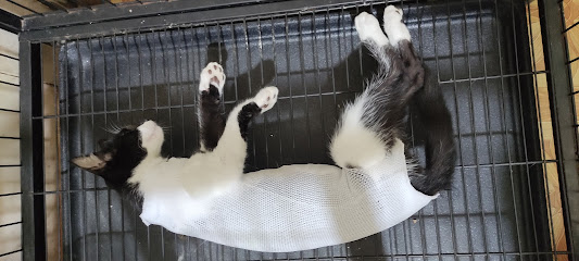 AF1QipM3WxgcC5mrsH6YaK64NBgyvRywV0CoKFK4 ROFw533 h240 k no