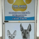 AF1QipM3yWZdCzhKeZDvV4JdxIHq1gxJywLF8yFPClJww408 h755 k no