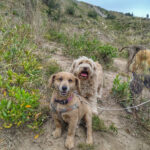 AF1QipM7K3 X7EBM6P7pknank45rWDmmzd23mqQm6OHtw408 h543 k no