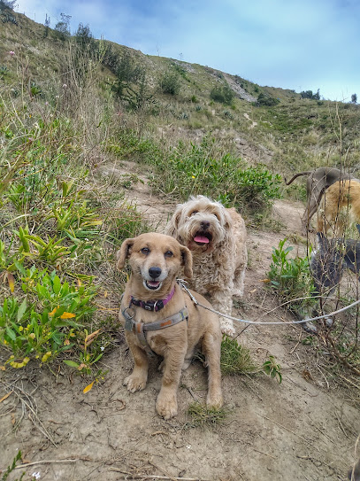 AF1QipM7K3 X7EBM6P7pknank45rWDmmzd23mqQm6OHtw408 h543 k no