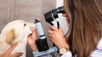 Oftalmopet (Servicio de Oftalmología Veterinaria) - Quito 1 AF1QipMD5CoKuAaS0pH PPsfw5OskkCz5X91rOrnJ5nqw426 h240 k no