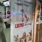 AF1QipMDDiqLN3ST62BYioqkKX0xPoQMebW4xApMTv6mw408 h725 k no