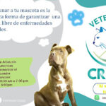 Agroveterinaria Crespo - Cuenca 2 AF1QipMGzz j74Q9ZKI4c06fWqzK6VsLoqNiWub6NgY5w427 h240 k no