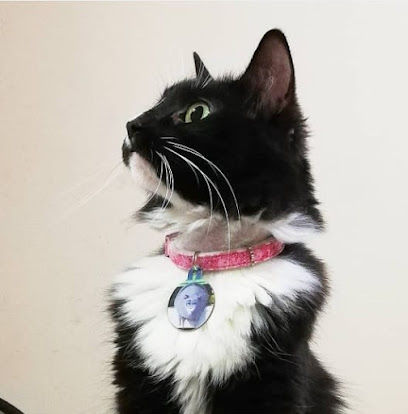 AF1QipMJH1O0DJ1rHXJQ0EcXe7MHjdTkFl4ntsXT3Dhfw408 h414 k no