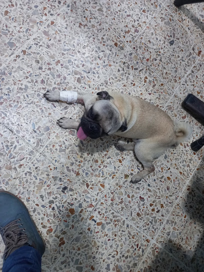 VETERINARIA LOYAL FRIEND – Machala