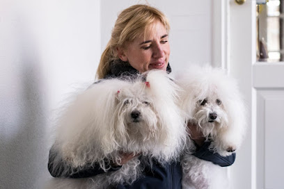 AF1QipMKttQhdrJ7AdLlryb9ZMvj5xFmLssL8704S8uNw408 h272 k no