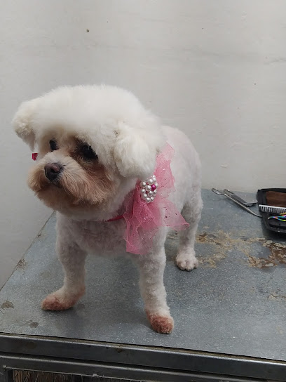 AF1QipMNzpKe7lehon6VOCBDSTyLknbXUBHs7 GvqGosw408 h544 k no