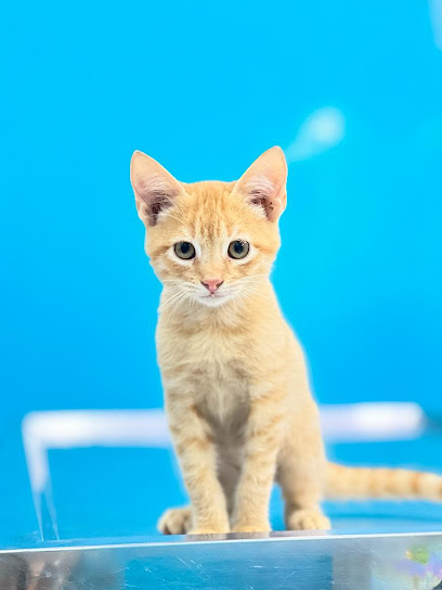 AF1QipMPYBlA8b7KY89tGcRVMoqk9ZqbIxybqPnw3v7Uw408 h544 k no