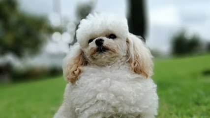 AF1QipMR7luml8fvB8sMD ooVmORqaVHjy7mLsHE2jMGw427 h240 k no