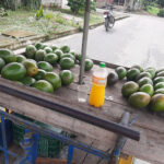 AF1QipMRMgoMVS1MZrhB3p0aCfMEjo2vY279Y9UdrwRcw408 h306 k no