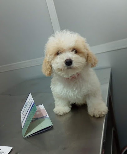 AF1QipMSsl6vuRVgdhYfme7Lt0czT4DDoA7 7M13t1Qnw408 h497 k no