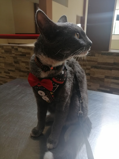 AF1QipMZYjSFIPIAIYDdldQDV3tLM8kXzHUUQq3xxbFbw408 h544 k no