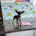 AF1QipMaOTp43tZuz16rAkCQePFsMs9Mss5CqzuANFdEw408 h544 k no