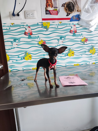 AF1QipMaOTp43tZuz16rAkCQePFsMs9Mss5CqzuANFdEw408 h544 k no