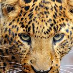 AF1QipMcenCTQeOYDGvbh8spoAkFIAfuTep0zQ9ndsNiw408 h255 k no