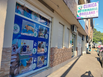 AF1QipMjGs53ciTTydN45P6XQ010gRVm oBKB0G kGgTw408 h306 k no