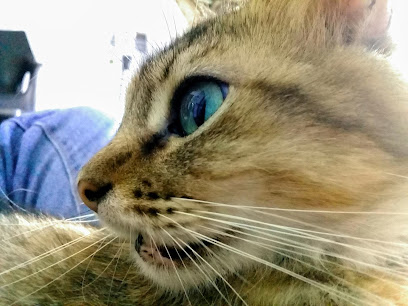 AF1QipMm59x9OTVcebm10FmTCqgLFQbBaHsR7T3DyC9Xw408 h306 k no