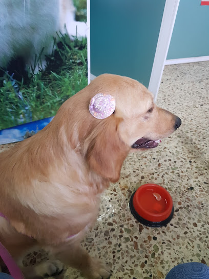 AF1QipMofBrbh8YJDqkwBseGrSLwwz epp GiHpW0cF0w408 h544 k no