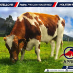 AF1QipMqM SuA TTbt5oSM1wDNXgSGXMtkyBE HTYFLmw408 h344 k no