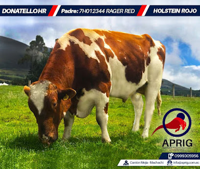 AF1QipMqM SuA TTbt5oSM1wDNXgSGXMtkyBE HTYFLmw408 h344 k no