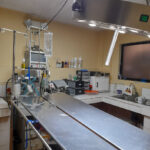 AF1QipMr3jAQmoJym6l YQGPMUG7LP8QFNfdfsN6AaHMw408 h544 k no