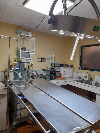 AF1QipMr3jAQmoJym6l YQGPMUG7LP8QFNfdfsN6AaHMw408 h544 k no