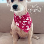 AF1QipMtK9aE iZ5d6yoP7e0Rph7wLHrr8swgqxCotbew408 h725 k no