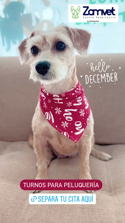 AF1QipMtK9aE iZ5d6yoP7e0Rph7wLHrr8swgqxCotbew408 h725 k no