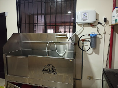 AF1QipMvunYtg3KOrjAk9U5G1Be6lFPbwCStjNkg7lK8w408 h306 k no