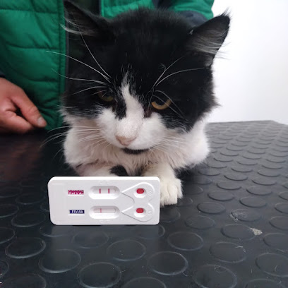 AF1QipN 7oXllyHGpnxADuc4ZSwwhUgzoYW4erR6u3yEw408 h408 k no