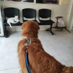 AF1QipN3LkvFYd8l0i7m7 n55G8rHOTPx4n H57tANlew408 h544 k no