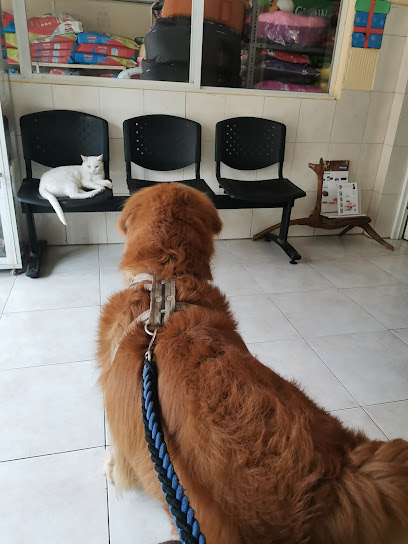 AF1QipN3LkvFYd8l0i7m7 n55G8rHOTPx4n H57tANlew408 h544 k no