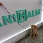 AF1QipN3USm6EsvjqJP4bnHzi9dDWZdVTSgXEPv309Dtw408 h475 k no