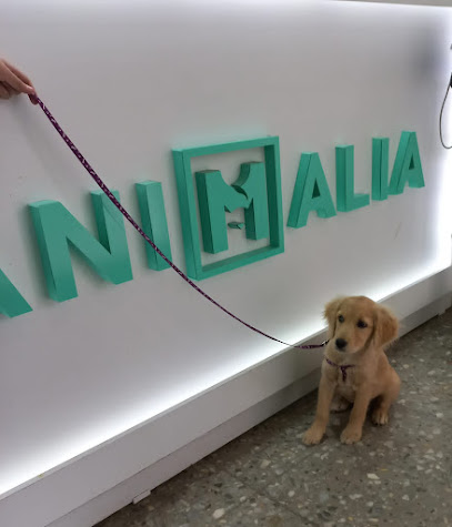 AF1QipN3USm6EsvjqJP4bnHzi9dDWZdVTSgXEPv309Dtw408 h475 k no