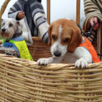 AF1QipN6V06eih3BjciqK9c 84tfOWojXfbWBBADOcWfw507 h240 k no