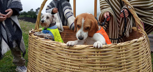 AF1QipN6V06eih3BjciqK9c 84tfOWojXfbWBBADOcWfw507 h240 k no