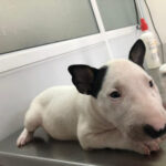 AF1QipND9HMJff6iWlkOujQFa9ePa3Qmkle0WtHNY00pw408 h306 k no