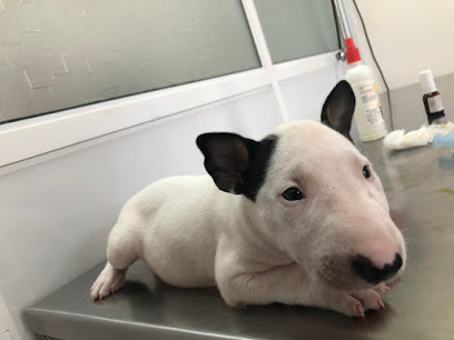 AF1QipND9HMJff6iWlkOujQFa9ePa3Qmkle0WtHNY00pw408 h306 k no