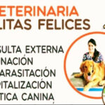 AF1QipNGugXnowaVVNNRXhOdPRFdYUdjFRr7px9qPgLkw427 h240 k no