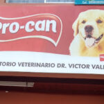 AF1QipNKl8mFcprOdDD50IeQ0WWTeoJwMwkPoczKJ0Wkw427 h240 k no