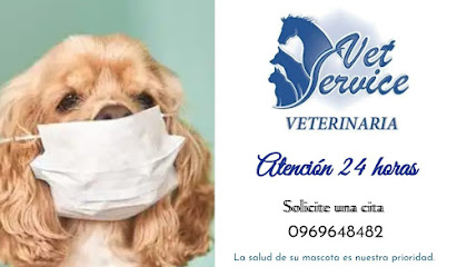 VETSERVICE VETERINARIA - Quito 1 AF1QipNPiydatTIir5loUsTDbAkxblOS22QablsG Knrw420 h240 k no