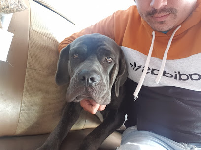 AF1QipNTIhNLDvgNLverjXmIabrzmB0CynVnuzVXK8NHw408 h306 k no