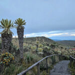 AF1QipNTjRpmcODeJPVmSFZT8NUUpsuK5gJLosepRIr7w408 h306 k no