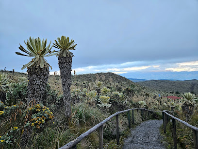 AF1QipNTjRpmcODeJPVmSFZT8NUUpsuK5gJLosepRIr7w408 h306 k no