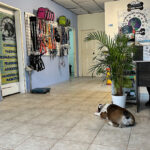 AF1QipNUPi7DBuCI vpPaKNO xpFzTnq4oQtZ95OAwVQw408 h544 k no