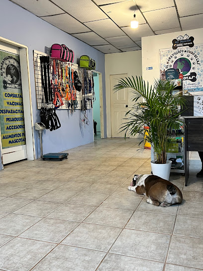 AF1QipNUPi7DBuCI vpPaKNO xpFzTnq4oQtZ95OAwVQw408 h544 k no